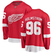 Men's Fanatics Branded Detroit Red Wings Tomas Holmstrom Red Home Jersey - Breakaway