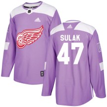Youth Adidas Detroit Red Wings Libor Sulak Purple Hockey Fights Cancer Practice Jersey - Authentic