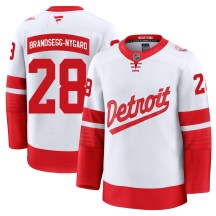 Men's Fanatics Detroit Red Wings Michael Brandsegg-Nyg&aring;rd White Michael Brandsegg-Nygard 2025 Stadium Series Jersey - Premium