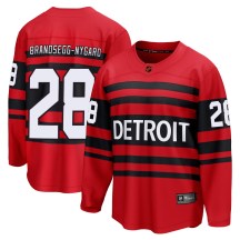 Men's Fanatics Branded Detroit Red Wings Michael Brandsegg-Nyg&aring;rd Red Michael Brandsegg-Nygard Special Edition 2.0 Jersey - Breakaway